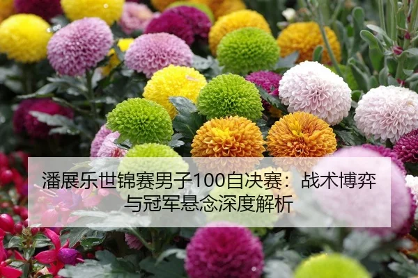 潘展乐世锦赛男子100自决赛：战术博弈与冠军悬念深度解析