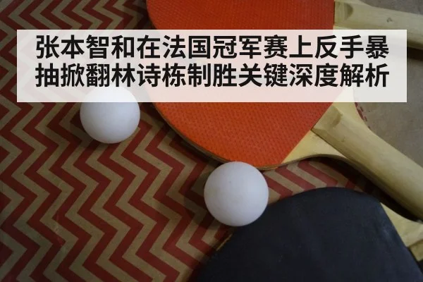 table tennis racket closeup