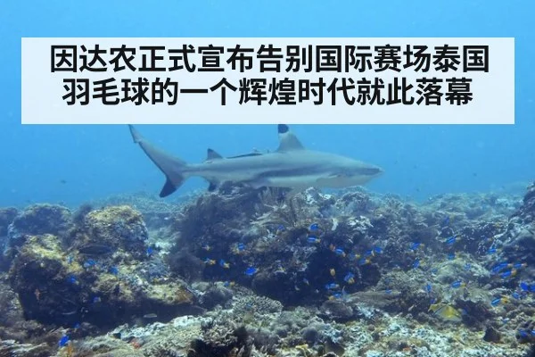 因达农正式宣布告别国际赛场泰国羽毛球的一个辉煌时代就此落幕